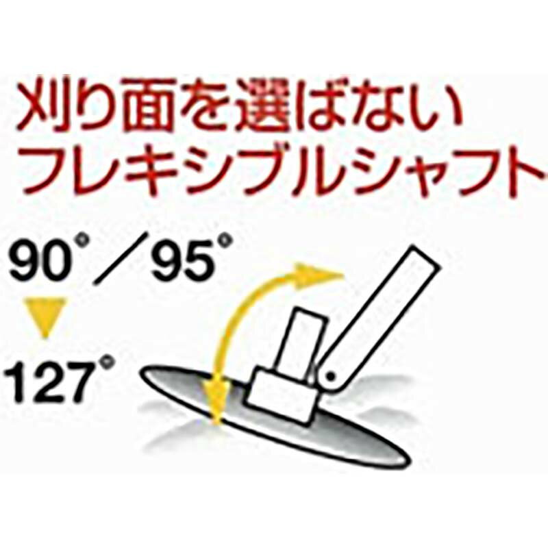 ��3/31�ޤǥ���ȥ꡼�Ǻ���100%P�Хå�����ñ�� PL2W �ӡ��С� ���鼰��ʧ���� �ϳ��ٲ��Ѽ��� ���̡�Ĺ�ܥ����� ���ĵ�������D