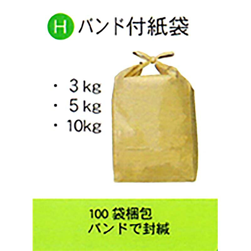 100枚 米袋 10kg 用 無地 バンド スタンディングタイプの 角底袋 0113941050 昭和パックス 昭P 代引不可