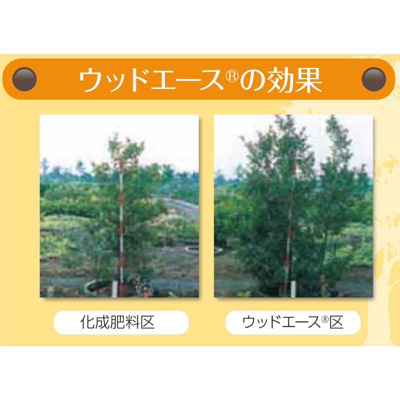 【6/1〜最大100%Pバック抽選で要エントリー】ウッドエース 4号 12-6-6-2 15kg 植林...
