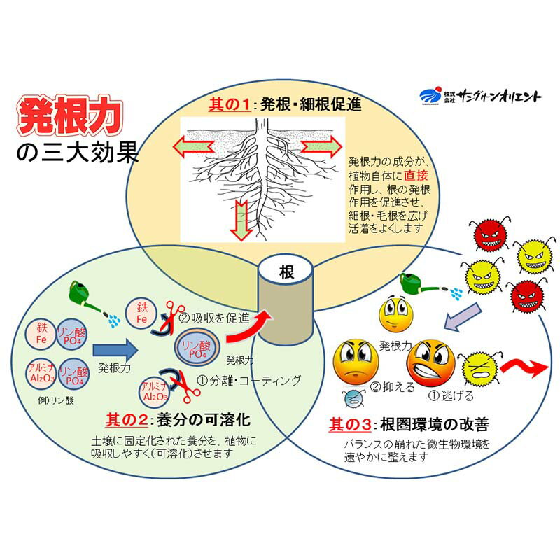 2本 発根力 10kg 発根促進剤 500倍希釈 サングリーンオリエント 10L タS 代引不可 DZ 3