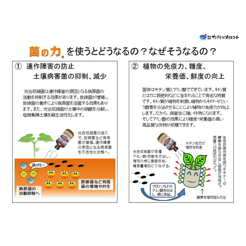 【4/30までエントリーで最大100%Pバック】12本 菌の力 1L 500倍希釈 土壌改善 成長...