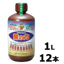 12本 菌の力 1L 500倍希釈 土壌改善 成長促進 品質向上 サングリーンオリエント タS D