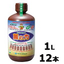 12本 菌の力 1L 500倍希釈 土壌改善 成長促進 品質向上 サングリーンオリエント タS 代引不可 時間指定不可