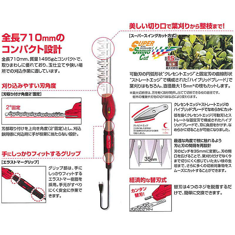 ��100%�ݥ���ȥХå� ����ȥ꡼������2/25�ޤǡ��ؿϤΤ� ���륹 ���를����ѥ��� ���� �ؿ� DKC-25-1 ʡKD