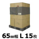 15枚 エコバンド リングタイプ 65mm幅 OR-L65 650×5250mm サンユー印刷 D