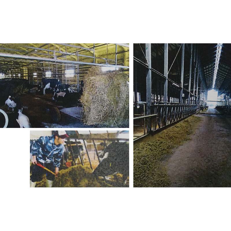 ��100%�ݥ���ȥХå� ����ȥ꡼������2/25�ޤǡ۶�� ���̥ۡ��� 4���� ������� ���� ���ṩ�� ʡKD