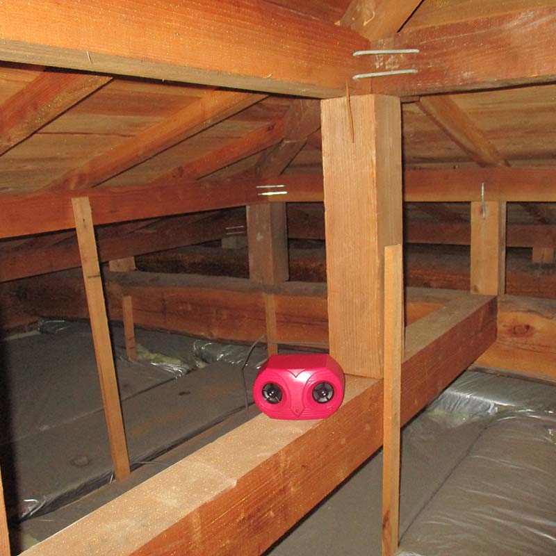 コンパル 乾電池式 ねずみ防除器 ネズミ対策 アサノヤ産業 PD