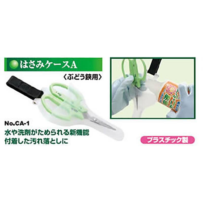 ��3/31�ޤǥ���ȥ꡼�Ǻ���100%P�Хå��ۤϤ��ߥ�����A �֤ɤ����� CA-1 ���ܥƥ� ��SD