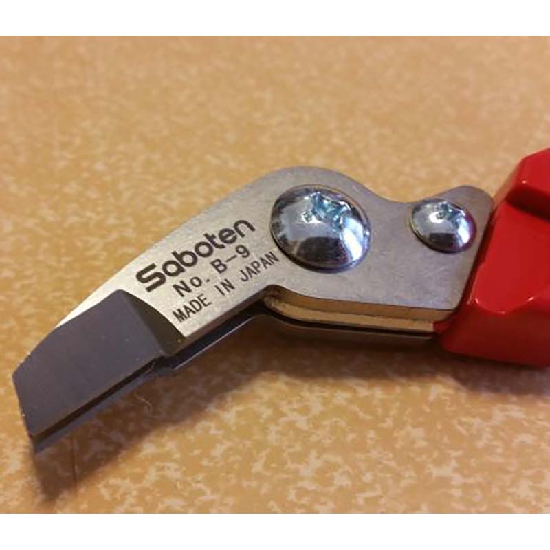 ��100%�ݥ���ȥХå� ����ȥ꡼������2/25�ޤǡ۴ľ��Ϥ���ʥ��� B-9 ���ܥƥ� ��SD