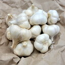 1kg 栽培用 ニンニク 青森県産 ホワイト六片 Lサイズ にんにく 球根 種用 吉S DZ