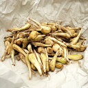 3kg 種ラッキョウ らっきょう 栽培用 家庭菜園 プロ農家 吉S DZ