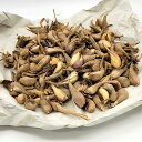 3kg 種あさつき アサツキ アサヅキ あさづき 栽培用 家庭菜園 プロ農家 吉S DZ
