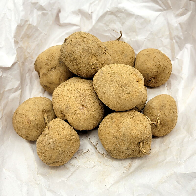 1kg ��� ���å��� ���� ���㥬���� PVP ���㤬��������� ��S DZ (�������жػ� ��Ͽ�ʼ�̾:���å��� ���ӿ建���ʼ���Ͽ:��17444��)