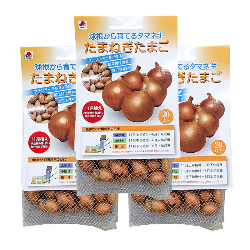 楽天市場】玉ねぎ 種球の通販