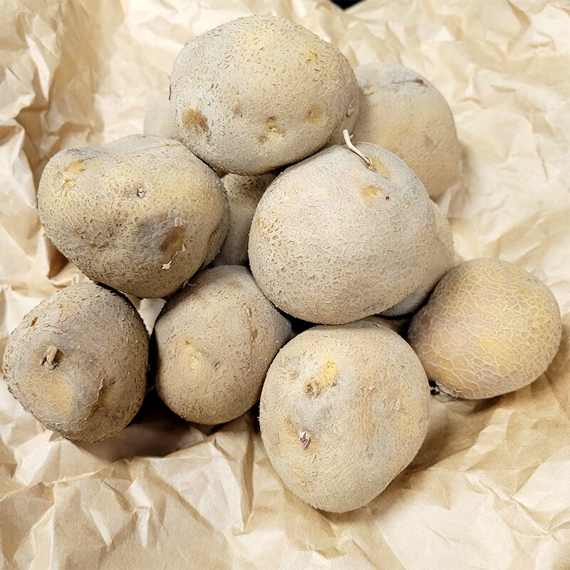 1kg 種芋 とうや M玉 ジャガイモ じゃがいも栽培用 吉S DZ (登録品種名:とうや)...