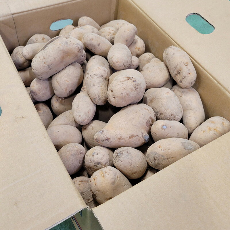 1kg ��� �᡼������ ���� B�� ���㥬���� ���㤬��������� ��S DZ