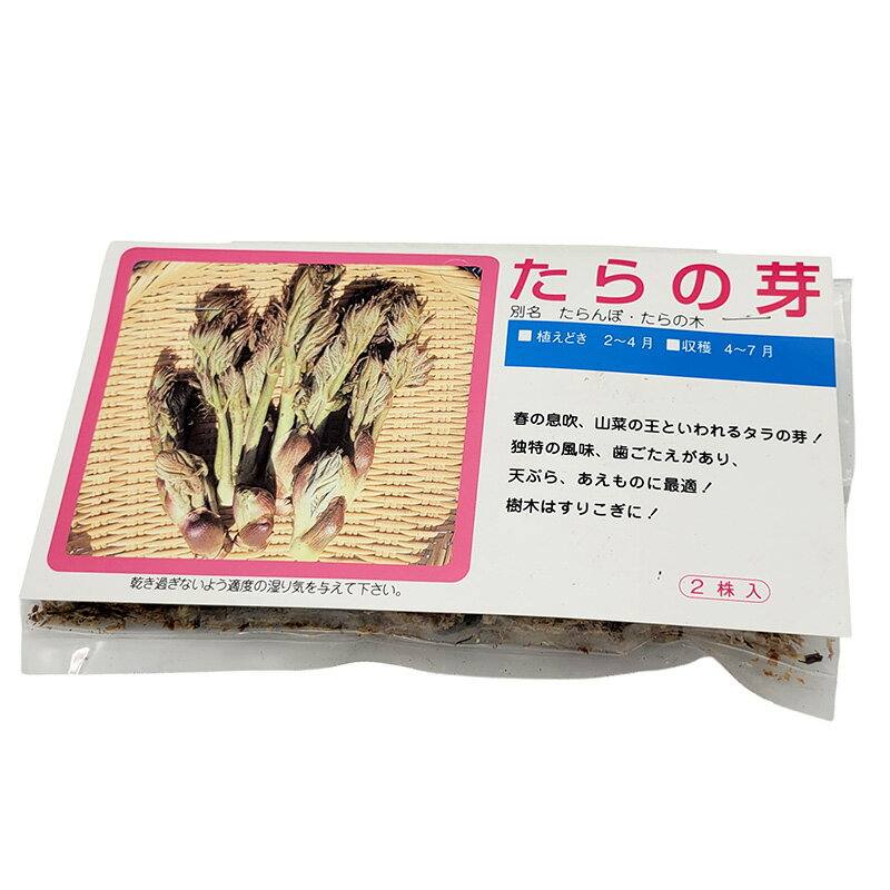 1袋 2株 栽培用 たらの芽 たらんぼ たらの木 山野草 野草 山菜 球根 種用 吉S DZ