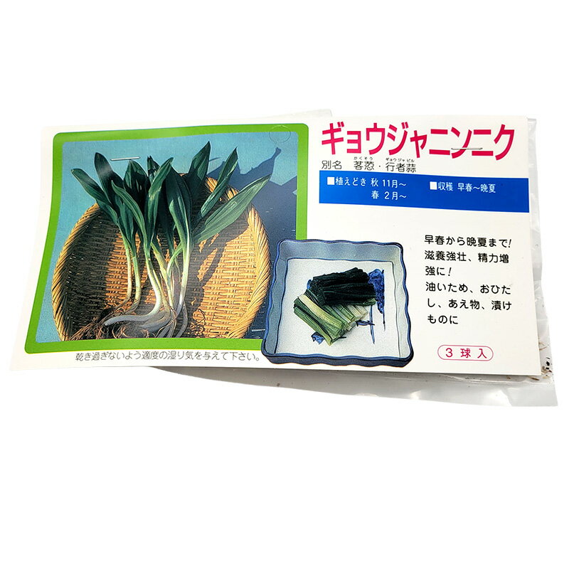 【4/30までエントリーで最大100%Pバッ