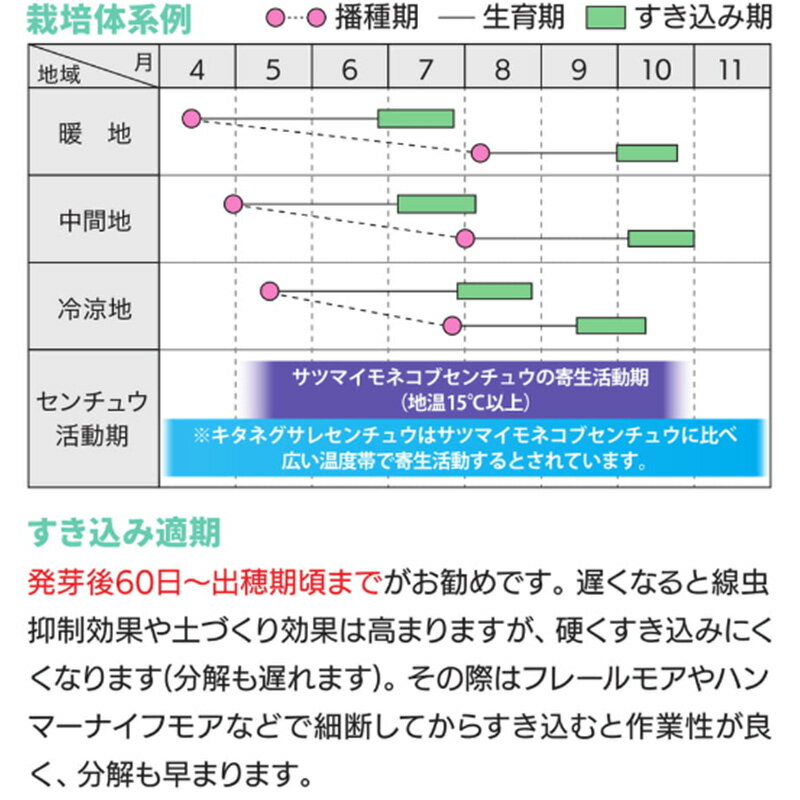 【6/1〜最大100%Pバック抽選で要エントリー】種 10kg スダックス緑肥用 ソルガム ...