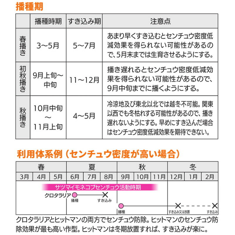 【6/1〜最大100%Pバック抽選で要エントリー】種 1kg ヒットマン エンバク カネコ種...