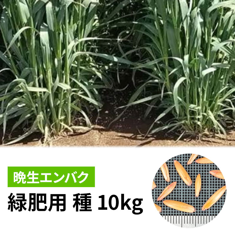 【10/1〜最大100%Pバック抽選で要エントリー】種 22.5kg ヒットマン エンバク カネ...