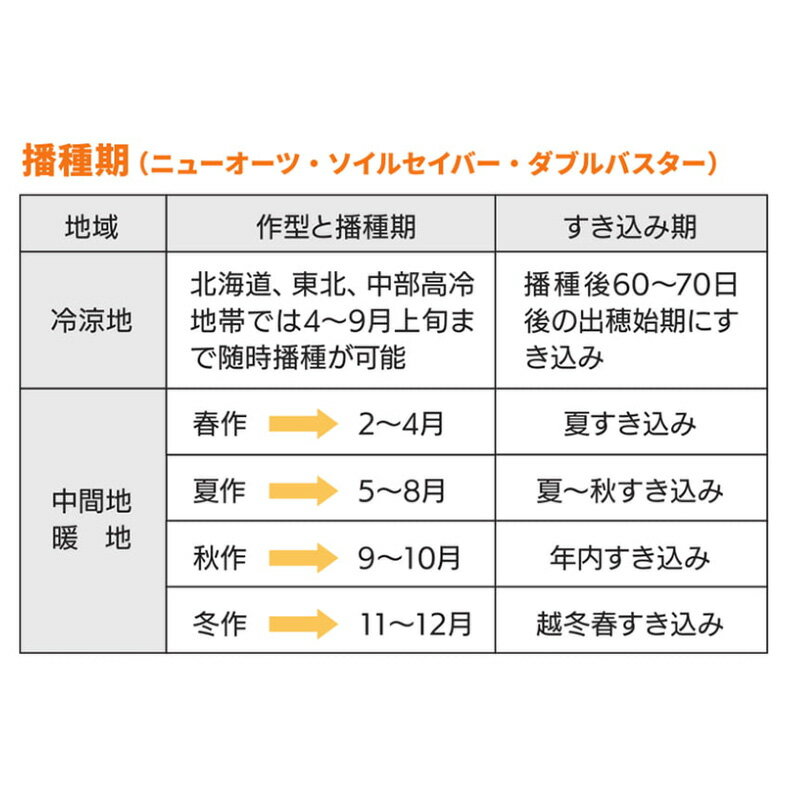 【6/1〜最大100%Pバック抽選で要エントリー】種 1kg ニューオーツ アウェナ ストリ...
