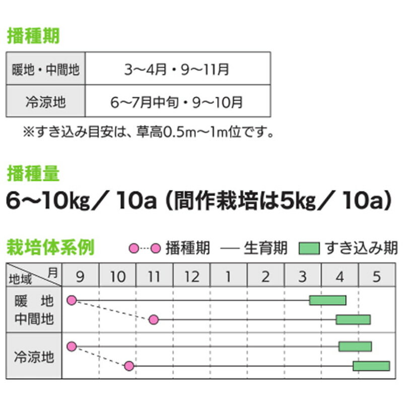 【6/1〜最大100%Pバック抽選で要エントリー】種 1kg ハルミドリ ライムギ カネコ種...