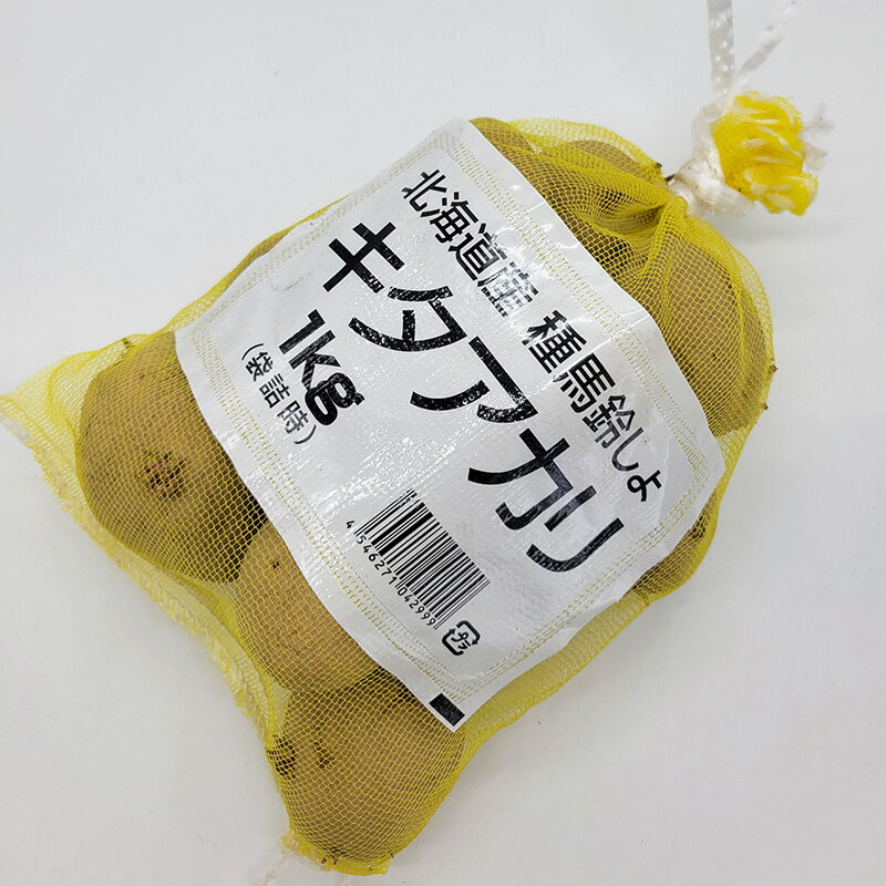 楽天市場】じゃがいも 種芋 10kgの通販