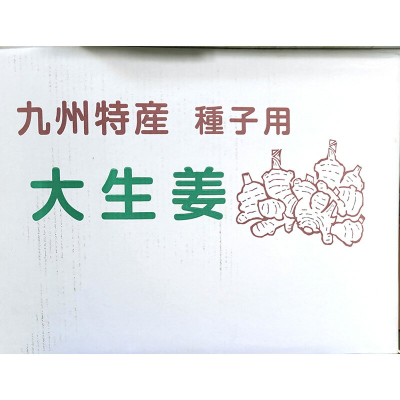 5kg 大生姜 熊本県産 しょうが ショウガ 栽培用 種生姜 吉S DZ