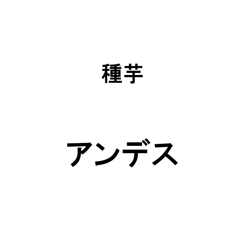 秋植え用の種いも