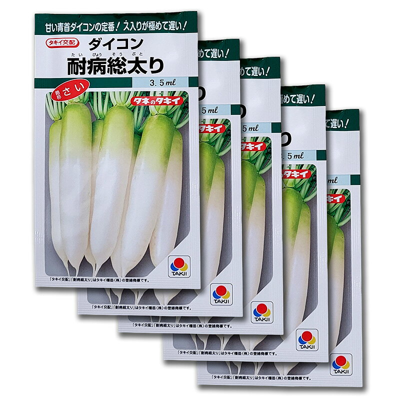 特性 ・ロングセラーを続ける良質の青首総太りダイコンの代名詞。 ・作りやすく、特にス入りが遅い。 ・尻の肉付きがよく、肌は白くてつやがあり、青首とのコントラストが美しく、肉質も上々。 ・秋の適期栽培では根長38cm、根径8cm程度になる。 栽培の要点 ・春まき・秋まき栽培ともに無理な早まきをするよりも、順調に育てて早どりをねらう。 ・吸肥力は比較的旺盛で、多肥栽培や追肥の遅効きは葉勝ちや空洞症の発生につながるので、作型に応じた施肥を行う。 ・中間・暖地の春まきでの早まき限界は、播種後、半月間の平均気温16〜17℃が目安。類似商品はこちら3.5ml 大根 耐病総太り タキイ種苗 タイ264円3袋 3.5ml 大根 耐病総太り タキイ種苗615円10袋 3.5ml 大根 耐病総太り タキイ種1,808円5ポット イチゴ苗 ポット苗 栽培用 家庭1,790円種まきサポート ホワイト 小粒種子用 明和 タ487円種まきサポート ミントグリーン 小粒種子用 明487円たて型 大根洗機 D-3AE 三相 03721933,790円たて型 大根洗機 D-3BE 単相 03721933,790円3袋 トマト・いちご 専用肥料 1.2kg 53,361円新着商品はこちら2026/10/23じゃり石に強くて飛びにくいチップソー JR-22,889円2026/10/23じゃり石に強くて飛びにくいチップソー JR-22,889円2026/10/23石に強くて飛びにくいチップソー IT-255 5,434円再販商品はこちら2026/10/23ネルパック 1.2.3 30kg お米 米 コ1,779円2026/10/23100個 柿つるしたんざく 干し柿 作りに 柿2,234円2026/10/23ペレット種子 150粒 ハクサイ 無双 品番3580円2026/10/22 更新ス入りが極めて遅い、甘い青首ダイコンの定番！