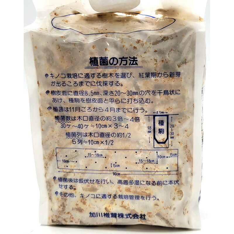 【6/1〜最大100%Pバック抽選で要エントリー】500個入 種駒 しいたけ KM-10号 丸棒...