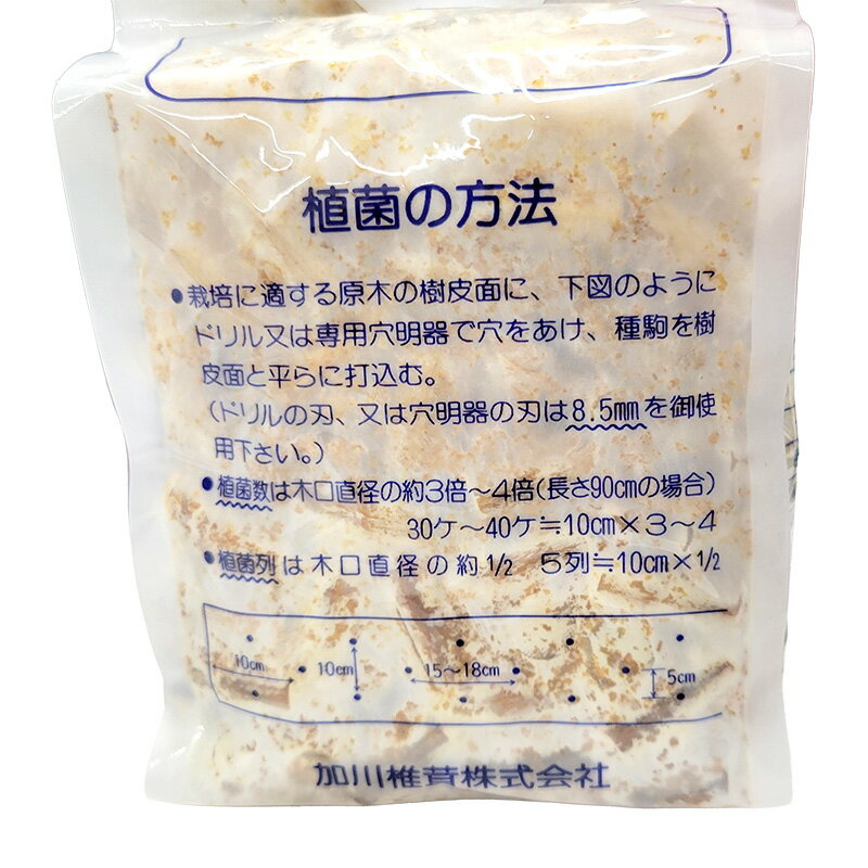 【6/1〜最大100%Pバック抽選で要エントリー】250個入 種駒 しいたけ KM-11号 丸棒...
