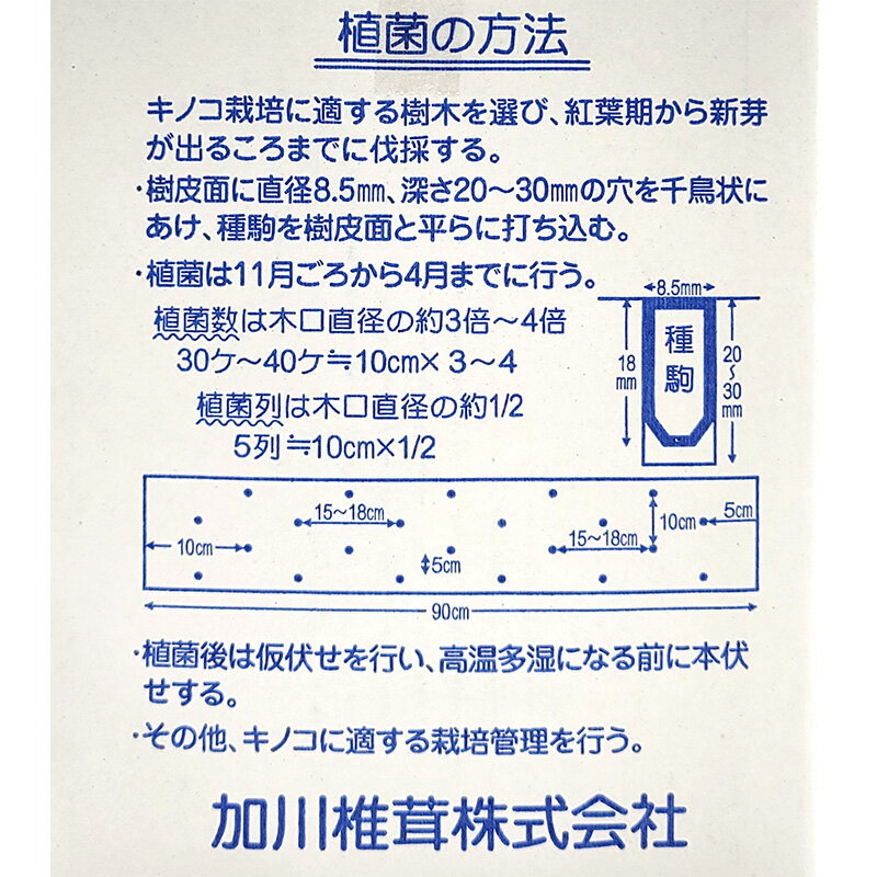 【3/31までエントリーで最大100%Pバック】1000個入 種駒 しいたけ KM-11号 丸棒型 食用きのこ菌 キノコ 椎茸 シイタケ 椎茸種駒 加川椎茸 米S DZ 返品不可