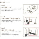 plusys7022:10081489のサンプル画像2