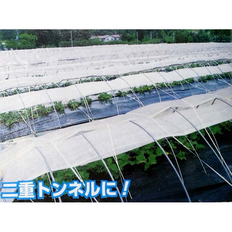 【10/1〜最大100%Pバック抽選で要エントリー】スカイテック E01025 幅135cm 長さ10...