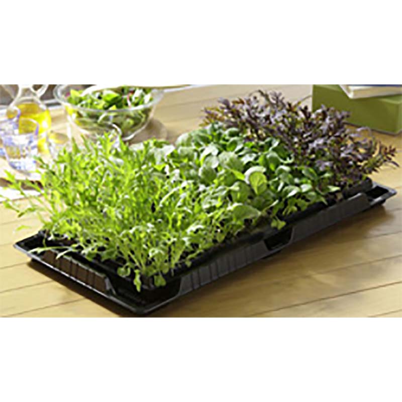 【4/30までエントリーで最大100%Pバック】50枚 底面給水バット アンダートレイ タ...