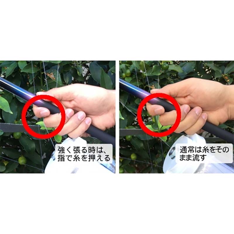 ��100%�ݥ���ȥХå� ����ȥ꡼������2/25�ޤǡ���Ļ��ݤ��� ��Ƿ�� F1 ����Ϻ �쿧��Ź D