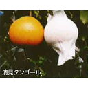 2300枚 果実袋 サンテ S-10 18cm 白 果面保護 ミカンの日焼防止 着色促進 樹上越冬など みかん 東レコムズ D