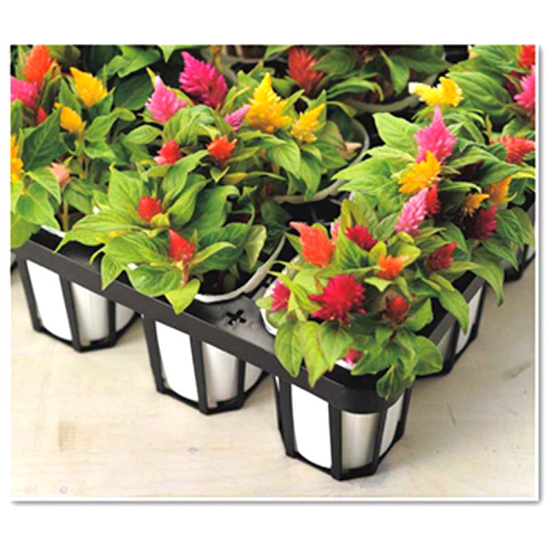 【4/30までエントリーで最大100%Pバック】40枚 TO スペーシングトレー 7.5cm 深型 ...