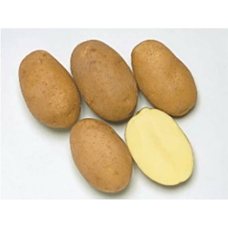 3kg ��� �̳������� ���� ���㥬���� ���㤬��������� ��S DZ (��Ͽ�ʼ�̾:�ۥå���������)