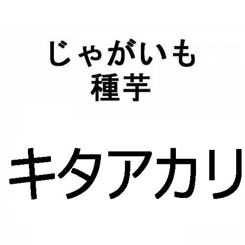 2kg 種芋 キタアカリ M玉 じゃがいも ジャガイモ 栽培用 春ジャガ 米S Z (登録品種名:キタアカリ)