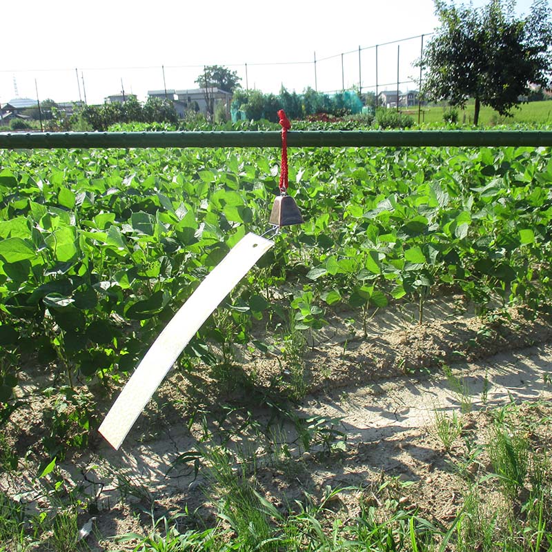 ��3/31�ޤǥ���ȥ꡼�Ǻ���100%P�Хå�����Ļ ������� �ۥ�������û���դ����� ����ѥ� �����Υ仺�� D