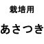 1kg 種あさつき アサツキ あさづき 栽培用 米S 代引不可 1,924円