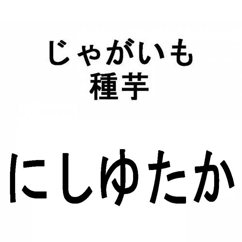 5kg 種芋 ジャガイモ にしゆたか 混玉 じゃがいも 栽培用 秋ジャガ 海外持出禁止 米S 代引不可 日にち指定不可