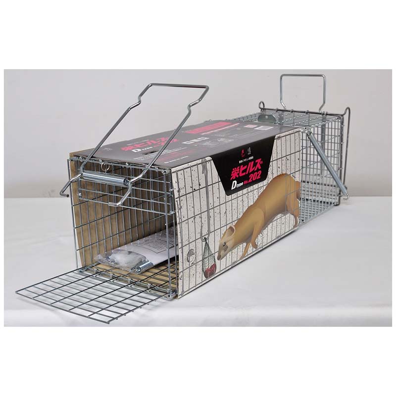 【4/30までエントリーで最大100%Pバック】D type No.202 IT-2 イタチ 約W200×H200×...