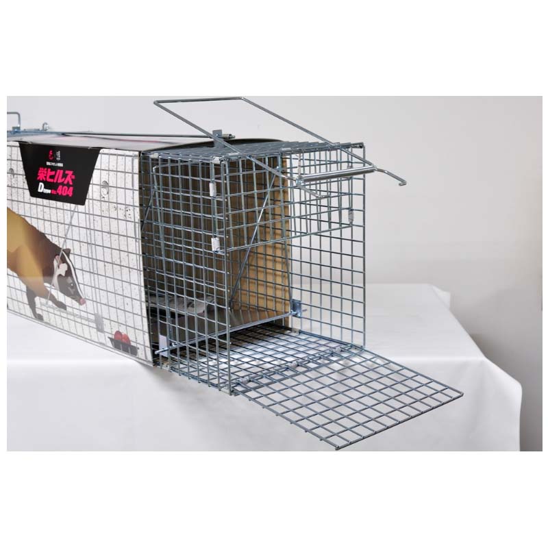 【4/30までエントリーで最大100%Pバック】D type No.404 AG-4 ハクビシン アライグ...