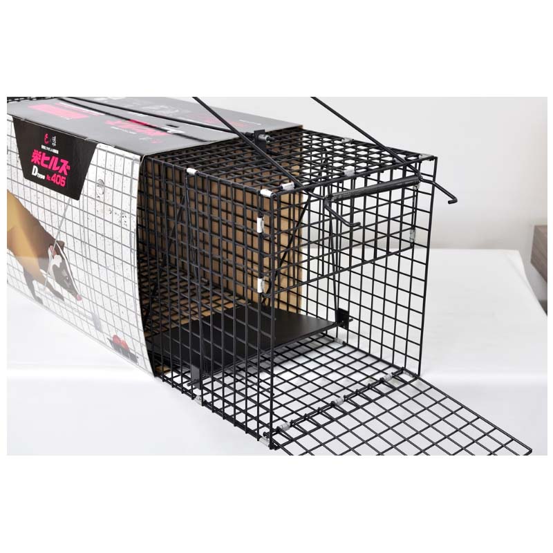 【4/30までエントリーで最大100%Pバック】D type No.405 AG-5 ハクビシン アライグ...