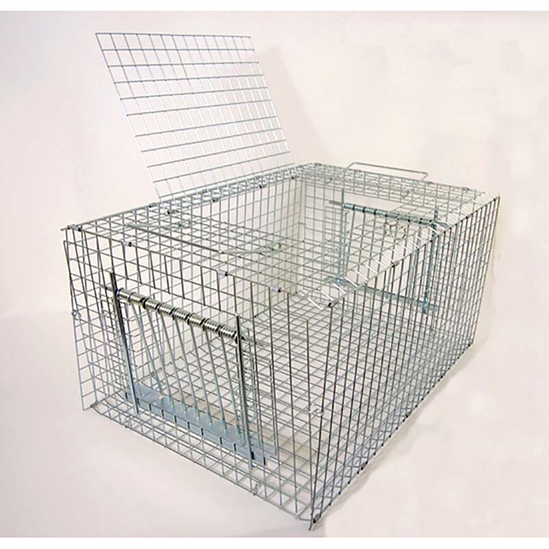 【4/30までエントリーで最大100%Pバック】RF1 E-01 ドバト 鳩 ハト はと 捕獲器 退...