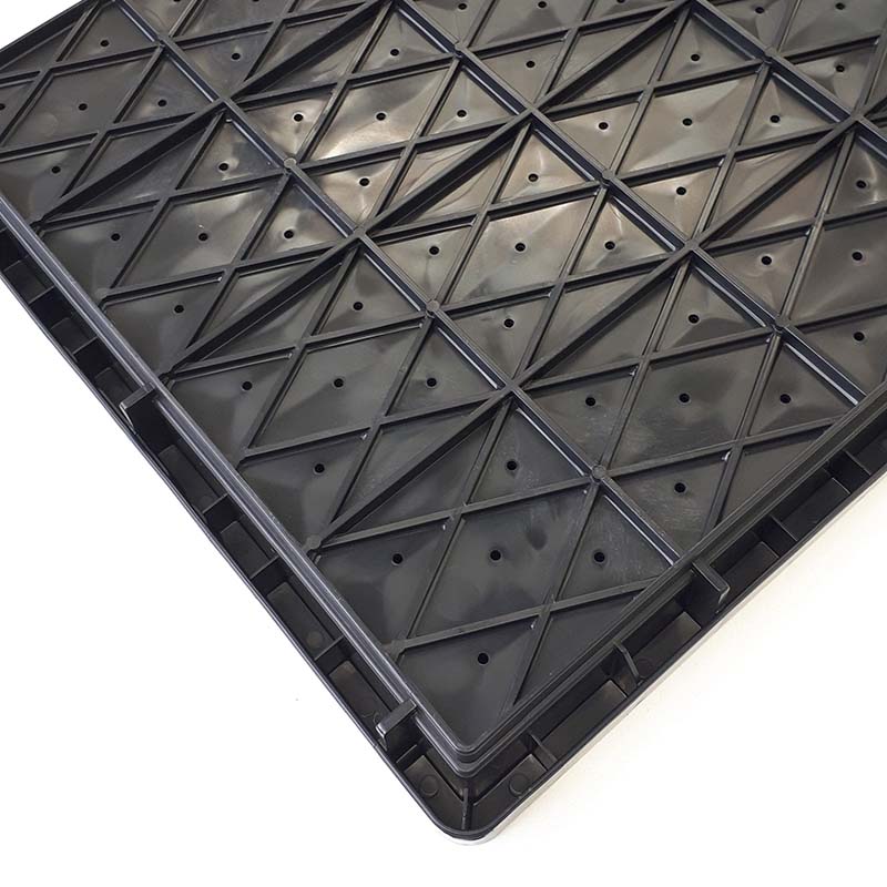 ��100%�ݥ���ȥХå� ����ȥ꡼������2/25�ޤǡ�300�� �� ����� ����Ȣ ����ȢN �ס��륿���� 160�� ��B �ܽ�������� ����Բ�